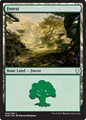 Foresta