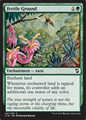 Terreno Fertile