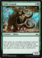 Ceratok Selvaggio