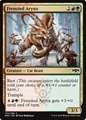 Arynx Frenetico