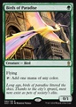 Uccelli del Paradiso