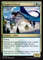 Predatore Trigone