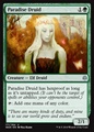 Druida del Paradiso