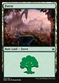 Foresta