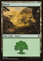 Foresta (V.2)