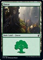 Foresta