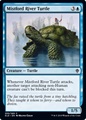 Tartaruga del Fiume Brumaguado