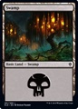 Palude (V.4)