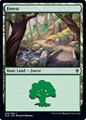 Foresta (V.3)
