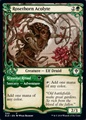 Accolita del Rosaspino // Rito Stagionale