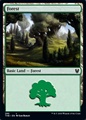 Foresta