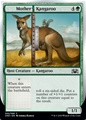 Mother Kangaroo