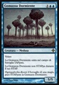 Gomazoa Dormiente