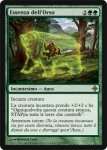 Essenza dell'Orso