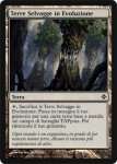 Terre Selvagge in Evoluzione