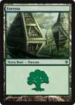 Foresta (V.3)