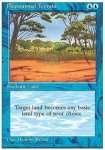 Terreno Illusorio
