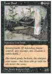Anima Errante