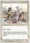 Lupi della Tundra