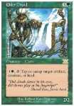 Druido Anziano