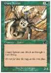 Ragno Gigante