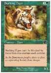 Tigre in Agguato