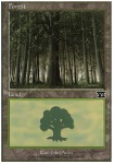 Foresta