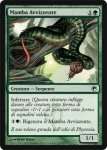 Mamba Avvizzente