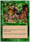 Forza delle Querce