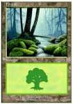 Foresta (V.1)
