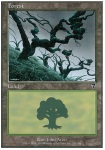 Foresta (V.4)