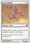 Falco Astrocoda