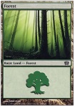 Foresta