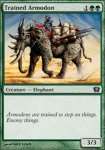 Armodonte Addestrato