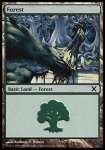 Foresta (V.1)
