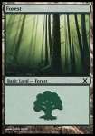 Foresta (V.2)