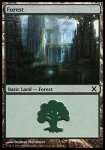 Foresta