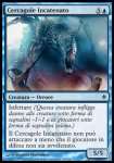 Cercagole Incatenato 