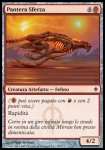 Pantera Sferza 