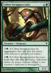 Cobra Incappucciato 