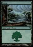 Foresta