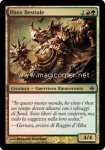Rhox Bestiale