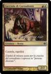 Cucciolo di Cornodonte