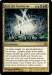 Rete del Maelstrom