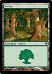 Foresta (V.2)