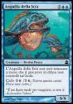 Anguilla della Scia 