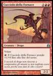 Cucciolo della Fornace 