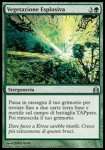 Vegetazione Esplosiva 