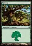 Foresta 