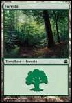 Foresta 